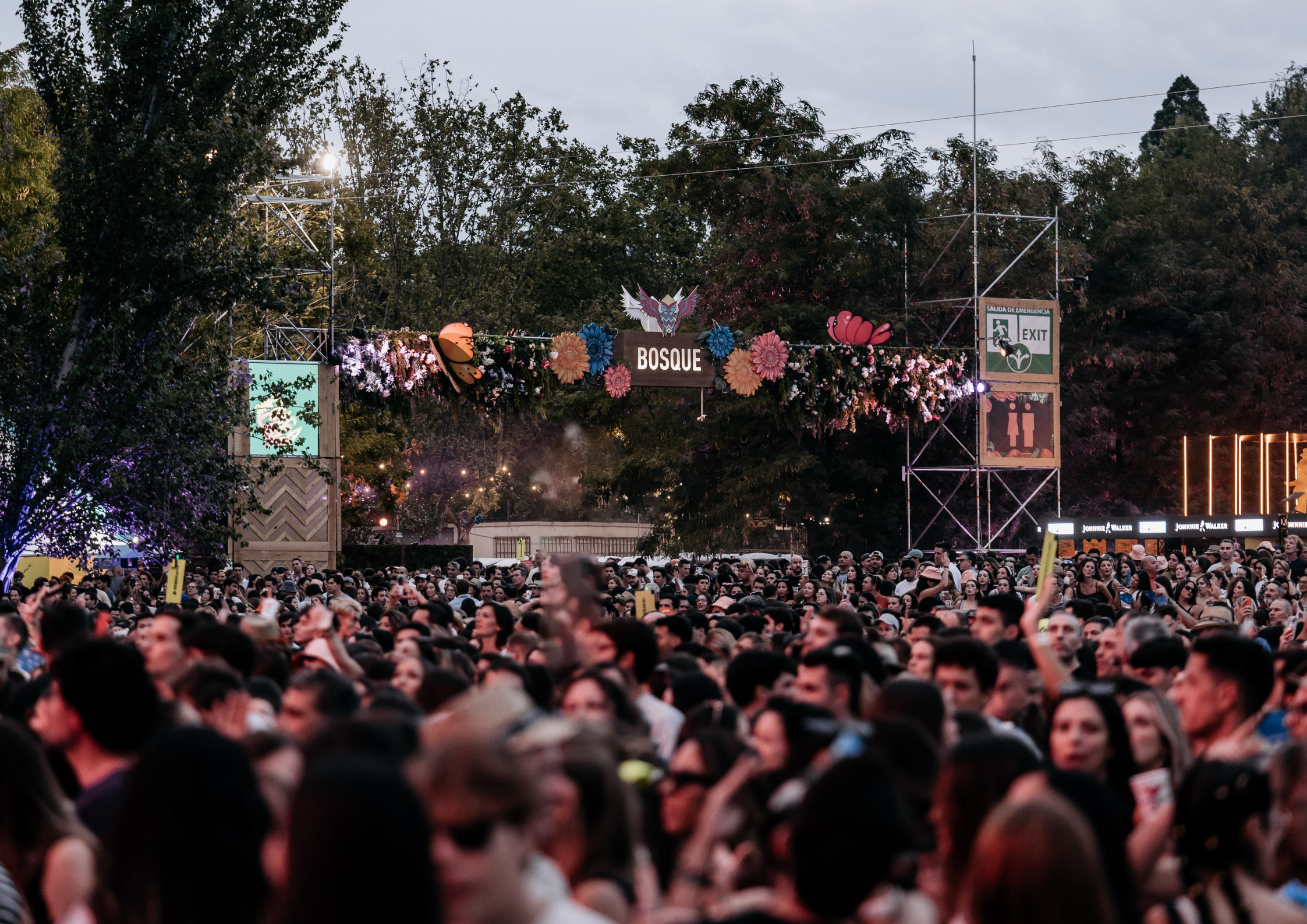 Fotografía Promocional Del Festival Jardín De Las Delicias 2025 / Fuente: Festival Jardín De Las Delicias 2025.